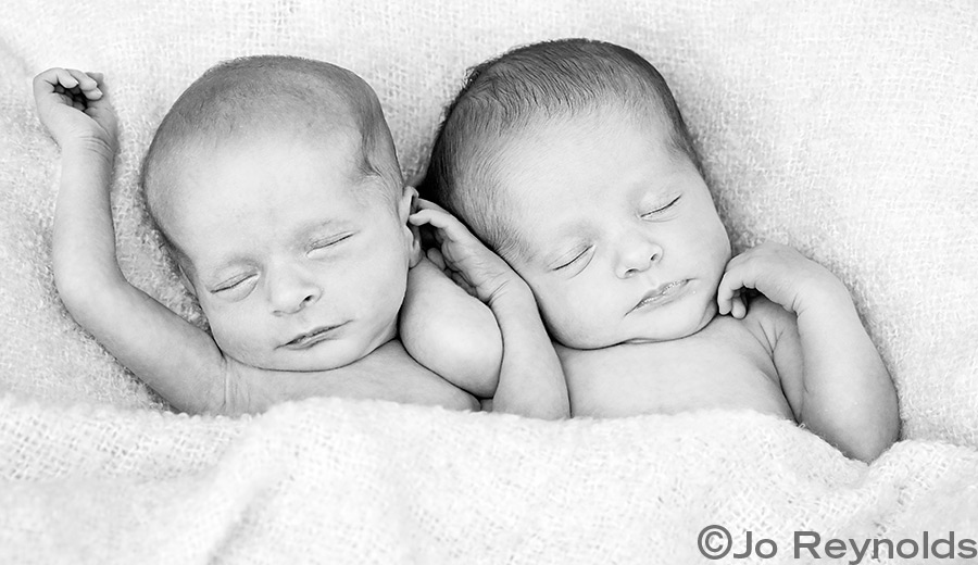 Infant Twin Portraits