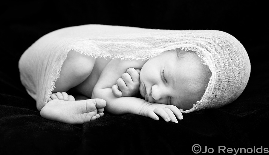 Newborn Portrait - by Adelaide baby photography Jo Reynolds